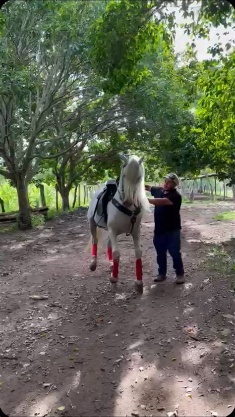 Rancho Buena Suerte .